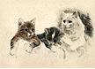 Katze Katze